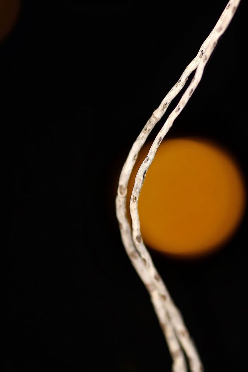 s/ título 05 - 68 x 102 cm