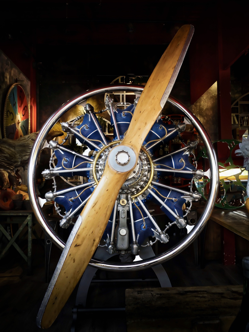 DSC01186 – Version 2.jpg