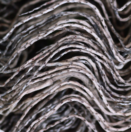 palmeira IMG_6373.jpg