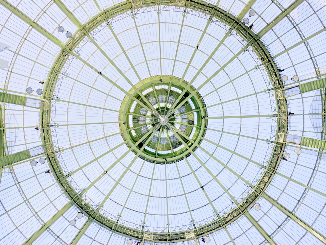 Teto Grand Palais Version 2.jpg