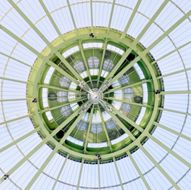 Teto Grand Palais Version 5.jpg