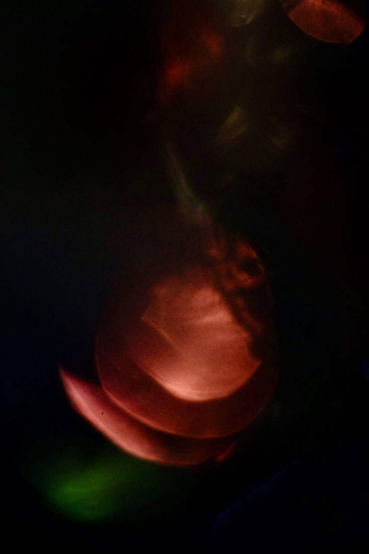 DSC02965.jpg