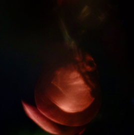 DSC02965.jpg