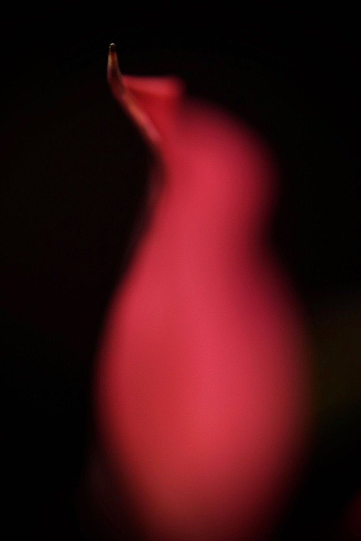 DSC04352.jpg