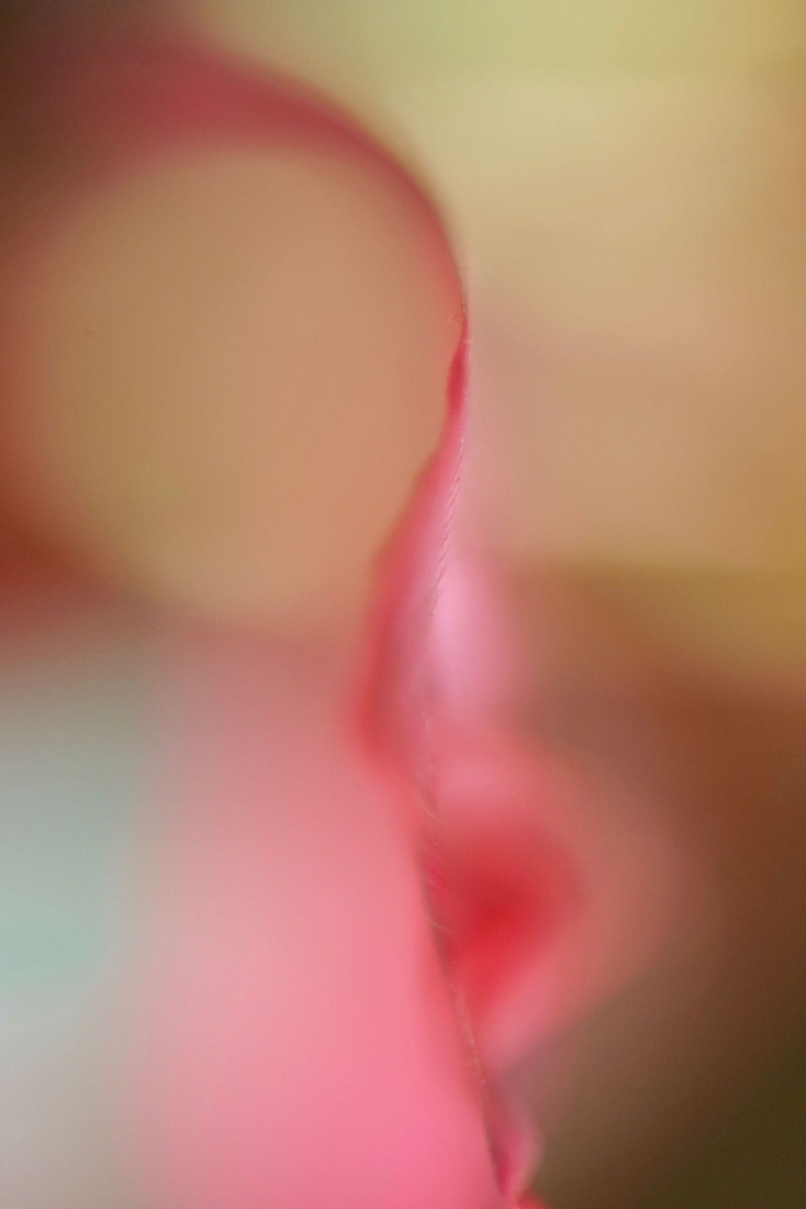 DSC04509.jpg