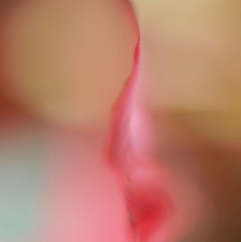 DSC04509.jpg