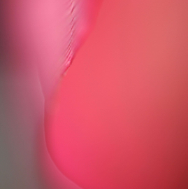 DSC04737.jpg