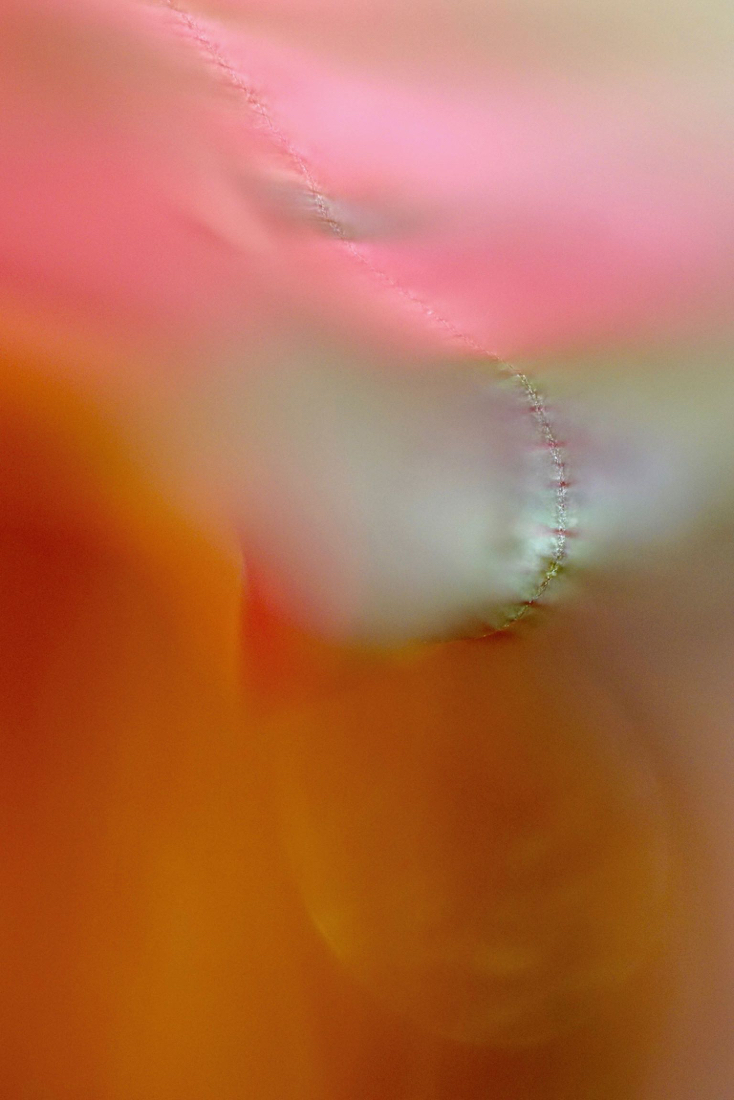 DSC05239.jpg