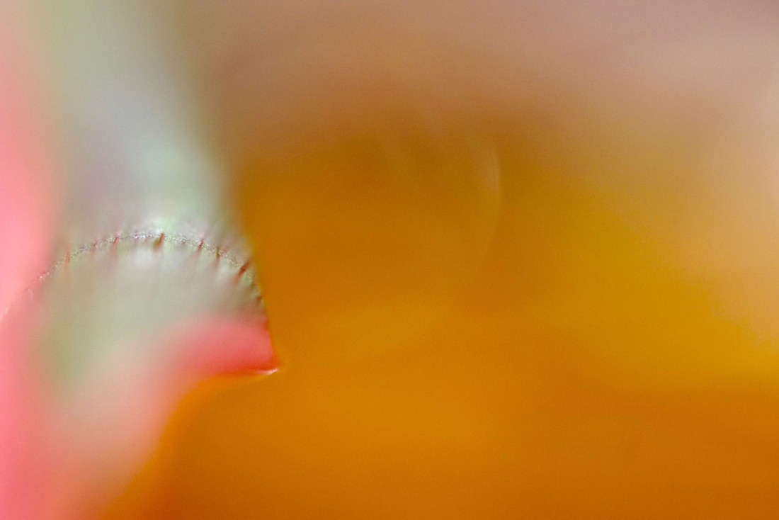 DSC05240.jpg