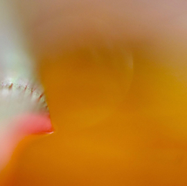 DSC05240.jpg