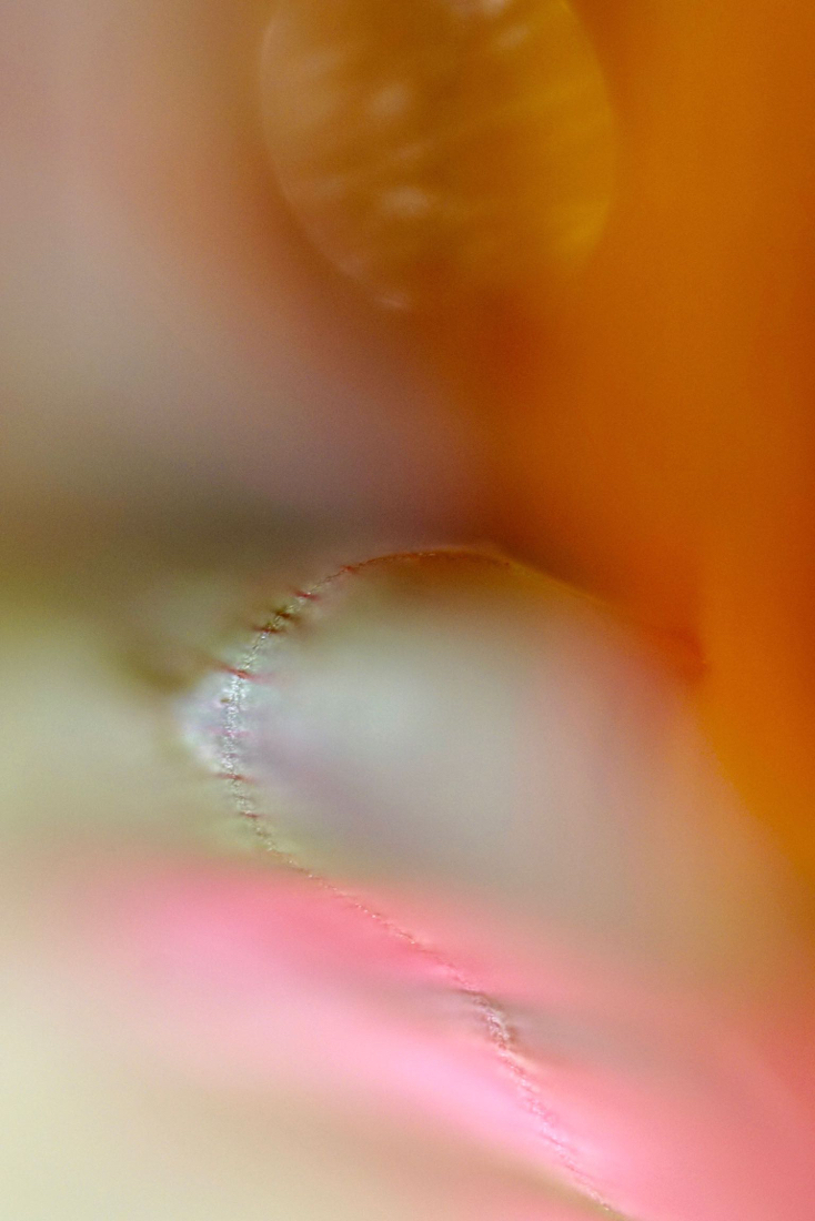 DSC05242.jpg
