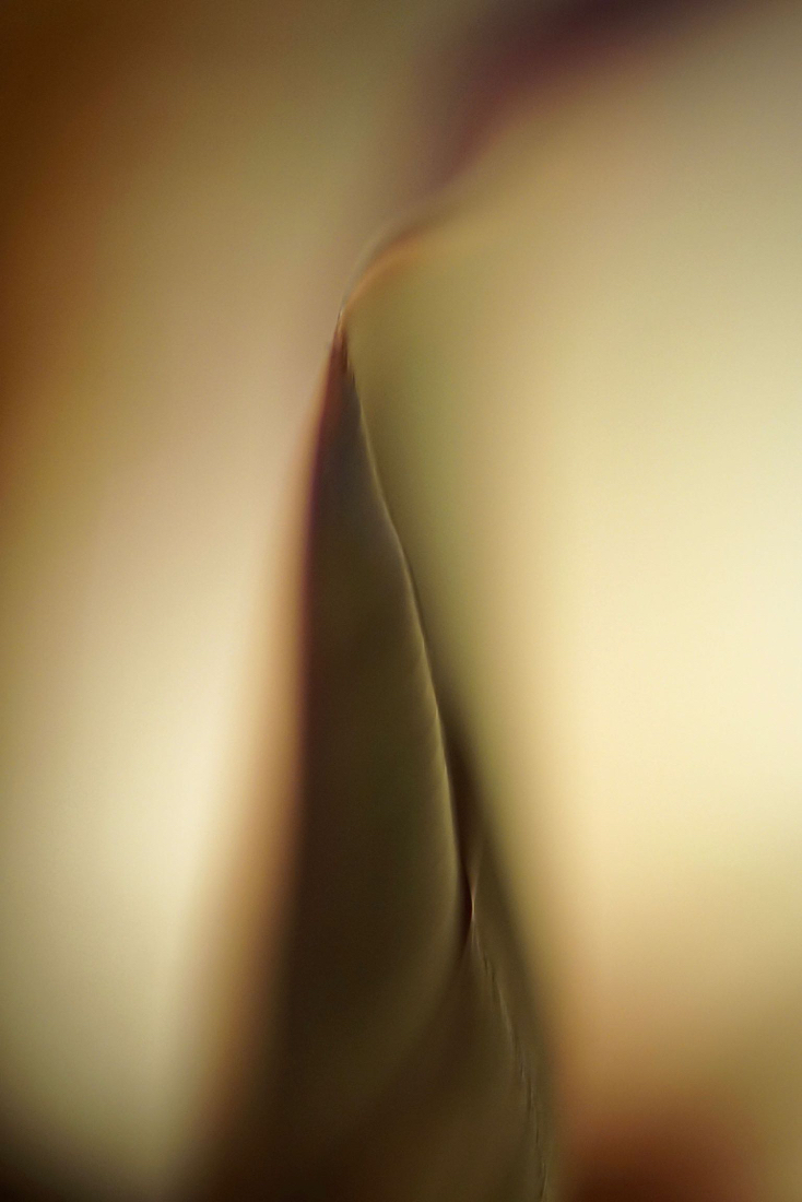 DSC05311.jpg