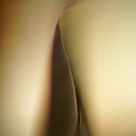 DSC05311.jpg