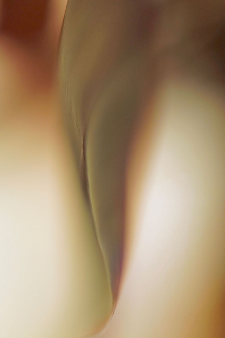 DSC05312.jpg