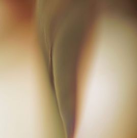 DSC05312.jpg