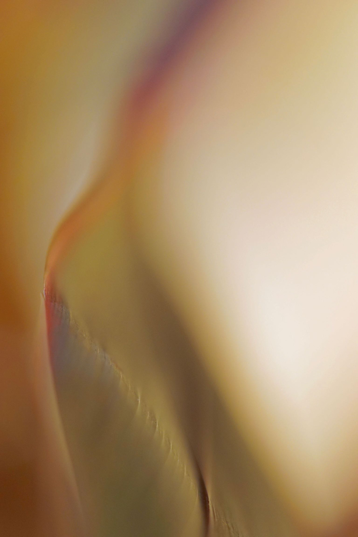 DSC05317.jpg