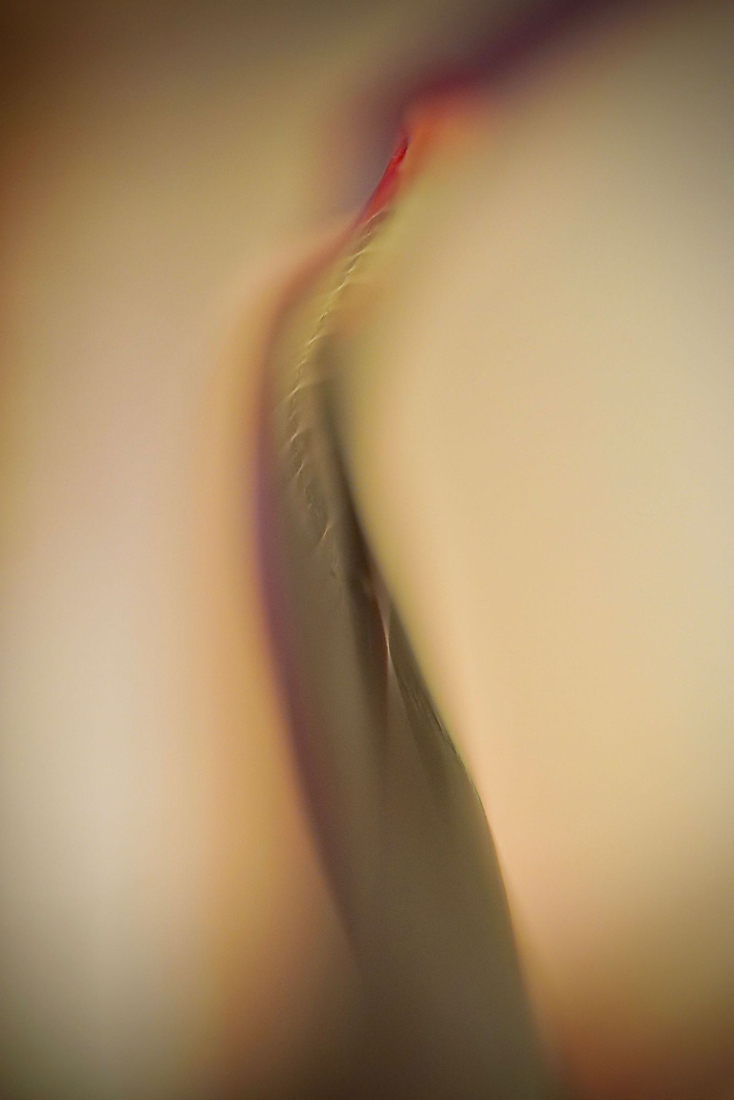 DSC05361.jpg