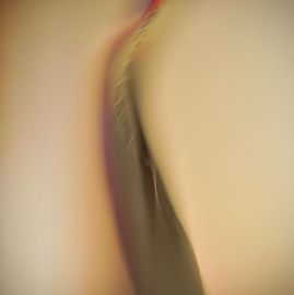 DSC05361.jpg