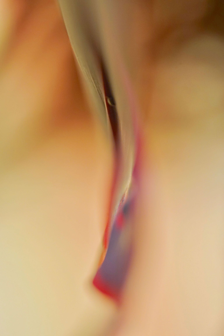 DSC05364.jpg