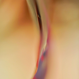 DSC05364.jpg
