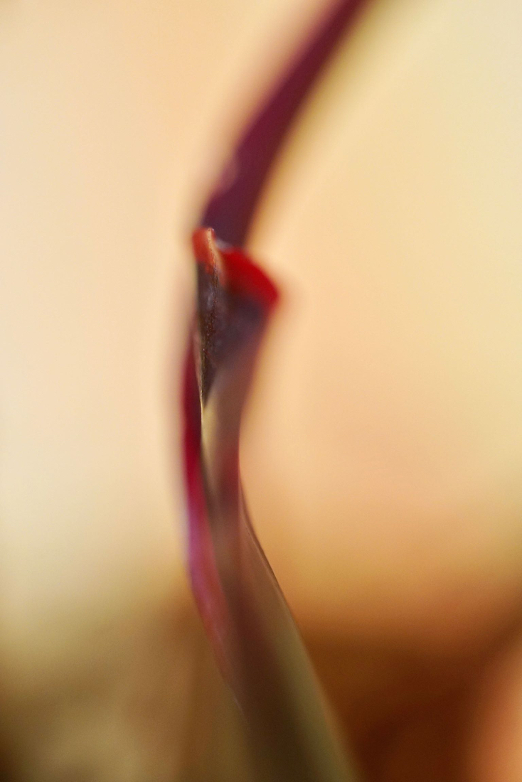 DSC05365.jpg