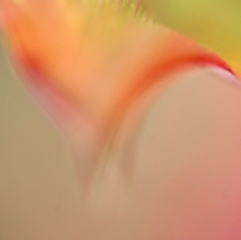 DSC05478.jpg