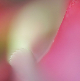 DSC05489.jpg