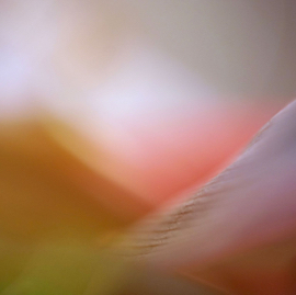 DSC05614.jpg