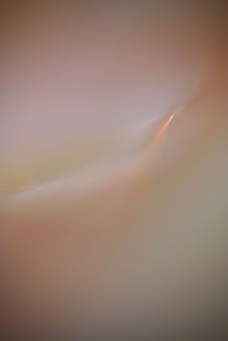 DSC05689.jpg