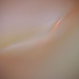 DSC05689.jpg