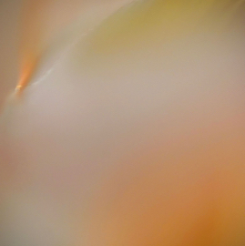 DSC05690.jpg