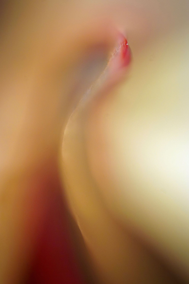 DSC05698.jpg