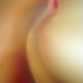 DSC05698.jpg