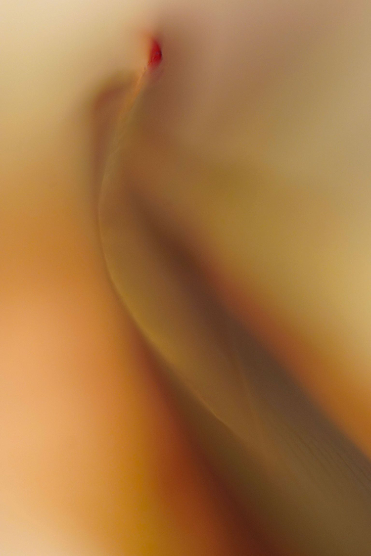DSC05717.jpg