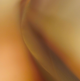 DSC05717.jpg