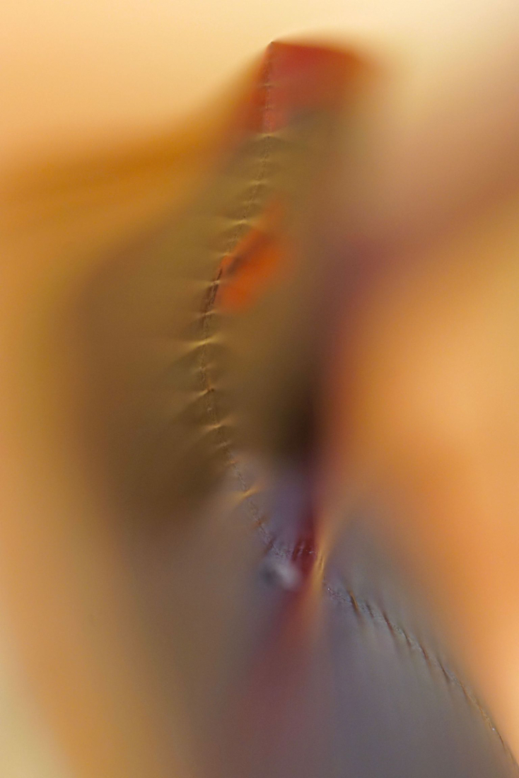 DSC05718.jpg
