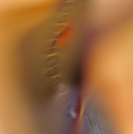 DSC05718.jpg