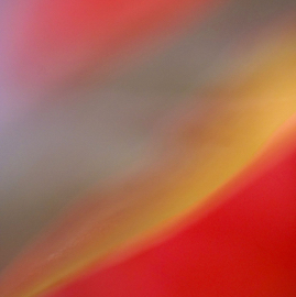 DSC05758.jpg