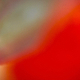 DSC05761.jpg