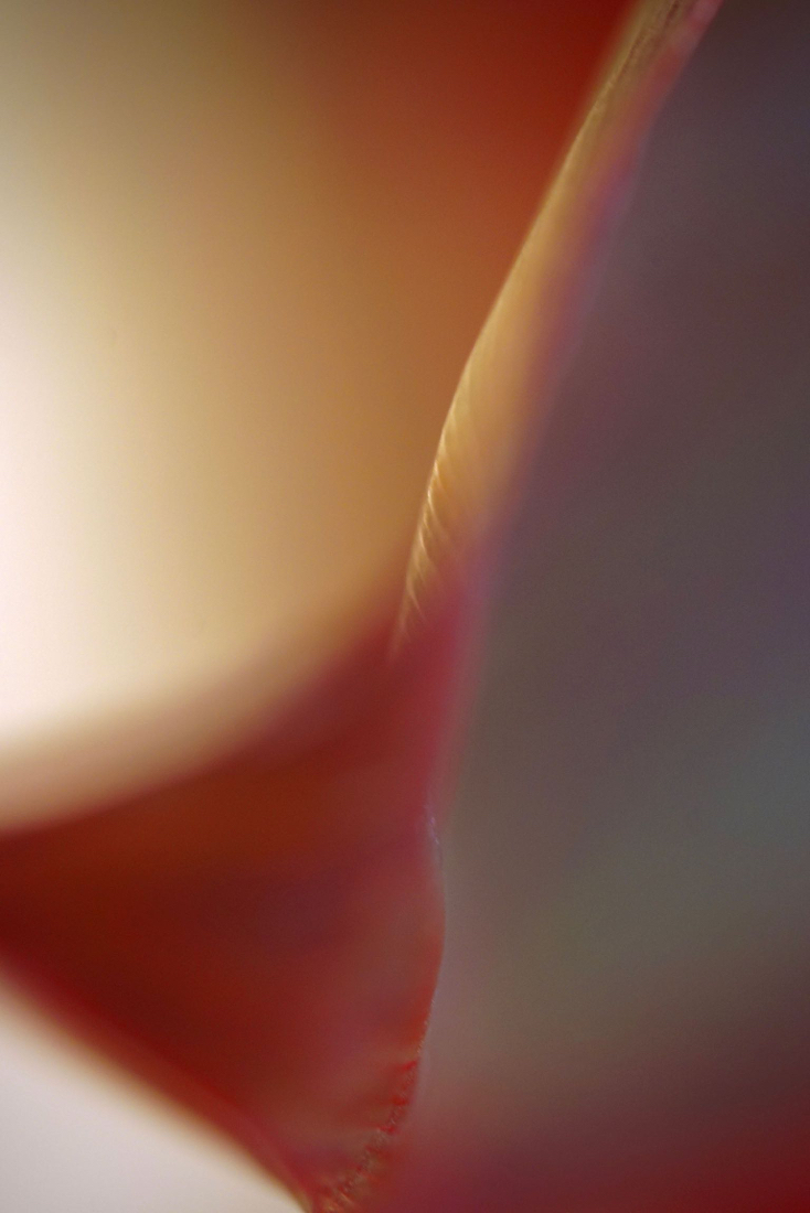 DSC05764.jpg