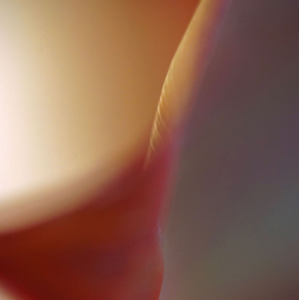 DSC05764.jpg