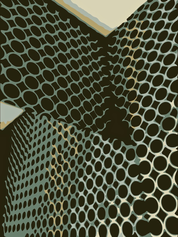 PG03 - 60 x 80 