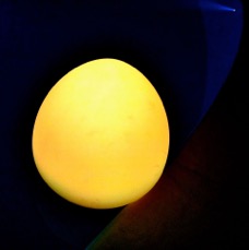 IMG_3834.jpg